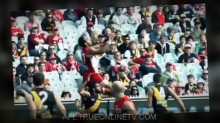 Watch - Casey Scorpions v Coburg Tigers - live AFL - Australia - VFL - nrl ladder - live afl scores - free football streaming