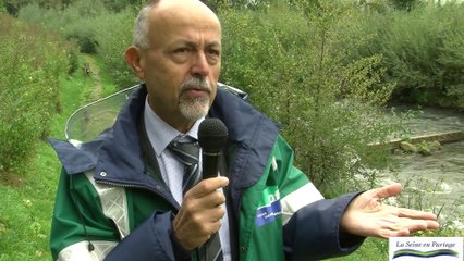 Passe à poissons Andresy