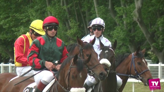 Dans les coulisses d'un dimanche de courses à l'hippodrome de la Fajeolle de Carcassonne.