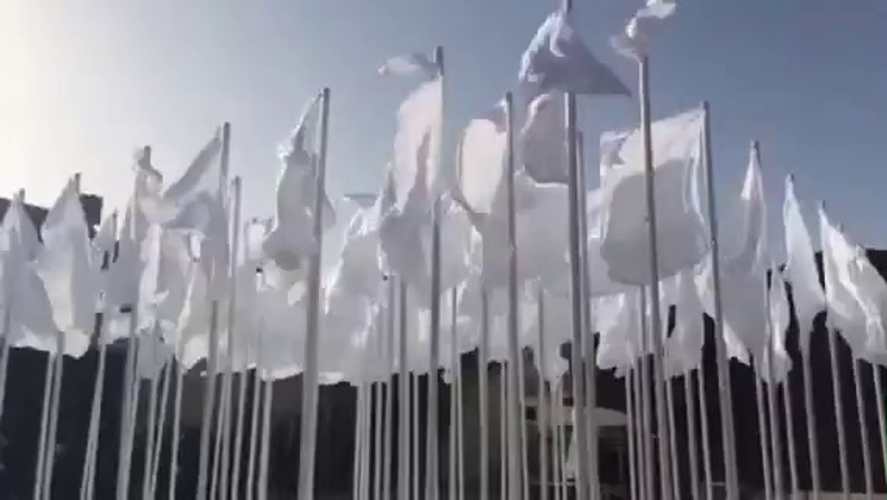 72 virgins under the sun