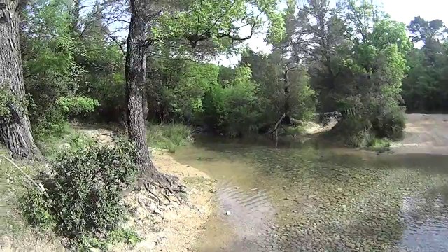 Cuges les pins GR98 50 km 04