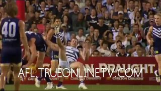 Watch Geelong Cats vs. St Kilda Saints - live stream Football - Australia - AFL - afl fixtures - nrl live scores - nrl live