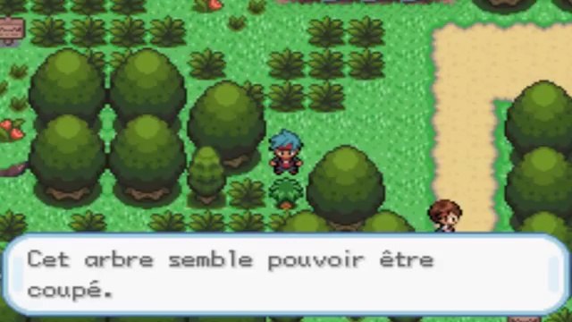 Avis / Critiques et remarques sur les versions hack de pokémon FR
