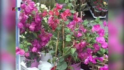 K23TV - Vipp - 2014-05-10