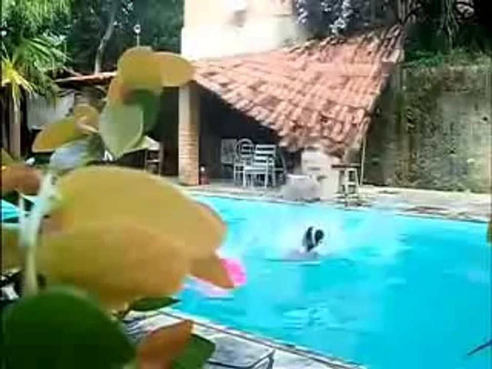 videoTitle