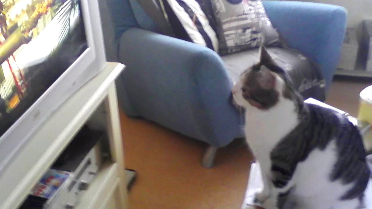 Eragon et le monde miniature 2