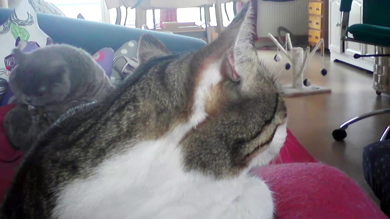 Eragon et le monde miniature 4