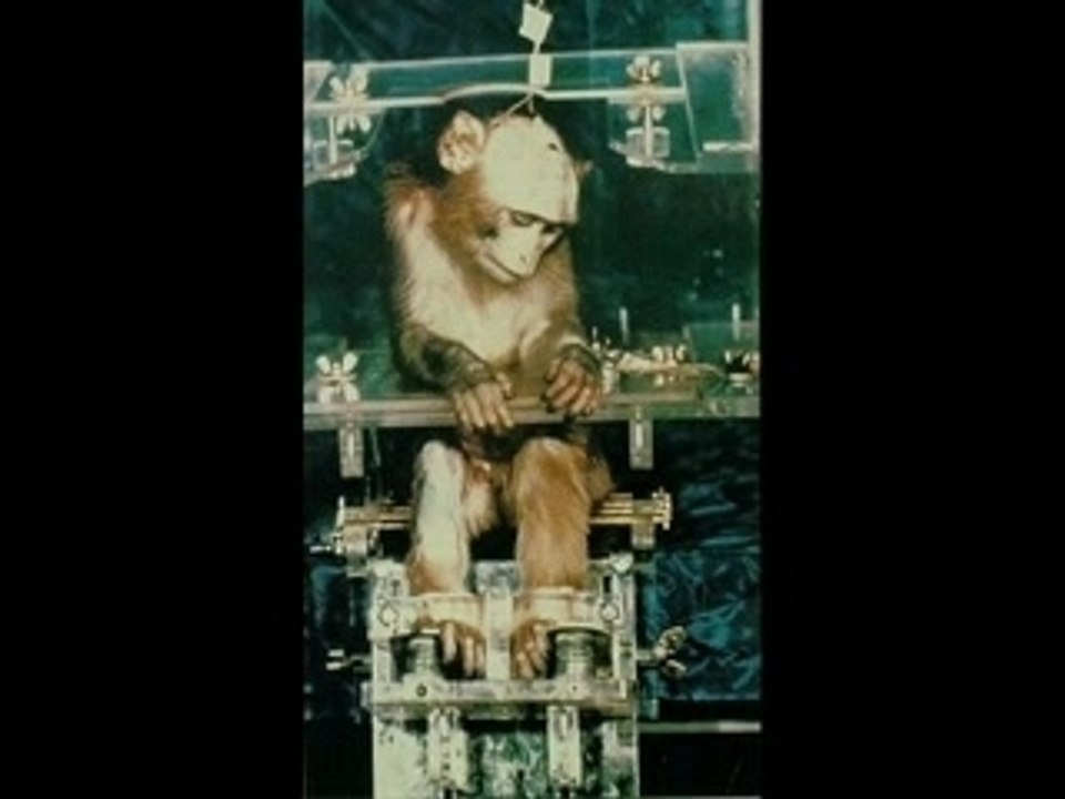 Cirque inhumain