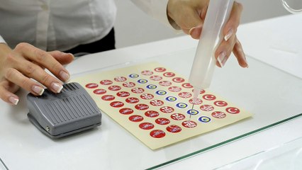 Domesline D-120 Kullanım Kılavuzu