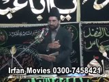 Allama Ali Nasir Talhara 5 Muharram 1433 Rasool Nagir - Muhafiz Quran