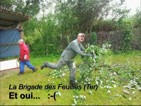 Préparatifs du concours d'Obé