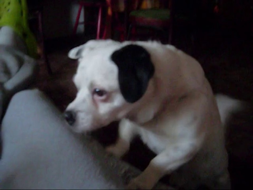 Trzeba nie mieć sumienia,żeby nie dać