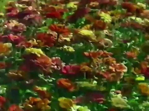 JAB CHALI THANDI HAWA / JAB UTHI KALI GHATA - 1968