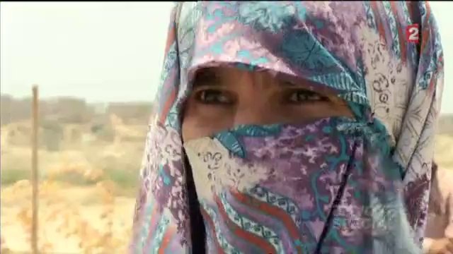 Le reportage La guerre de la polio , diffusé dans Envoyé spécial , reçoit le prix Albert Londres