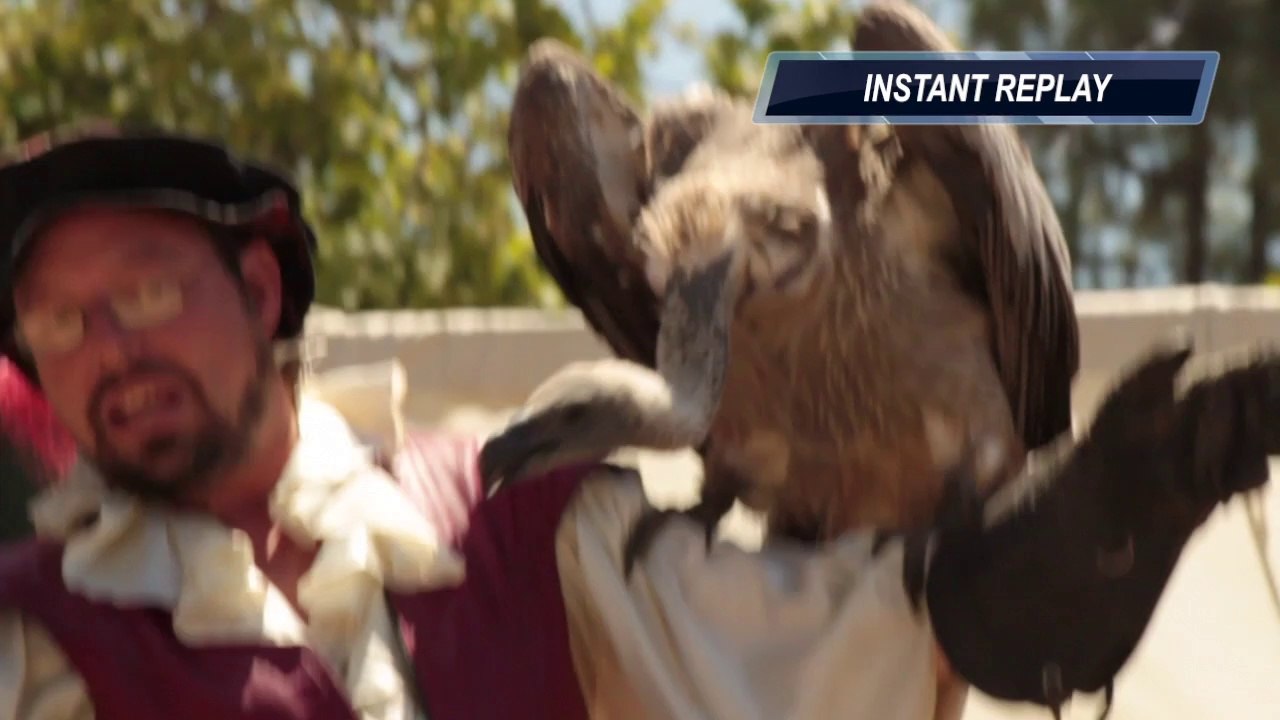 Vulture vs Chicken Leg