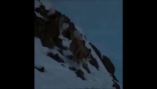 ALİ KINIK '' BİLDİGİN GİBİ DEGİL ''