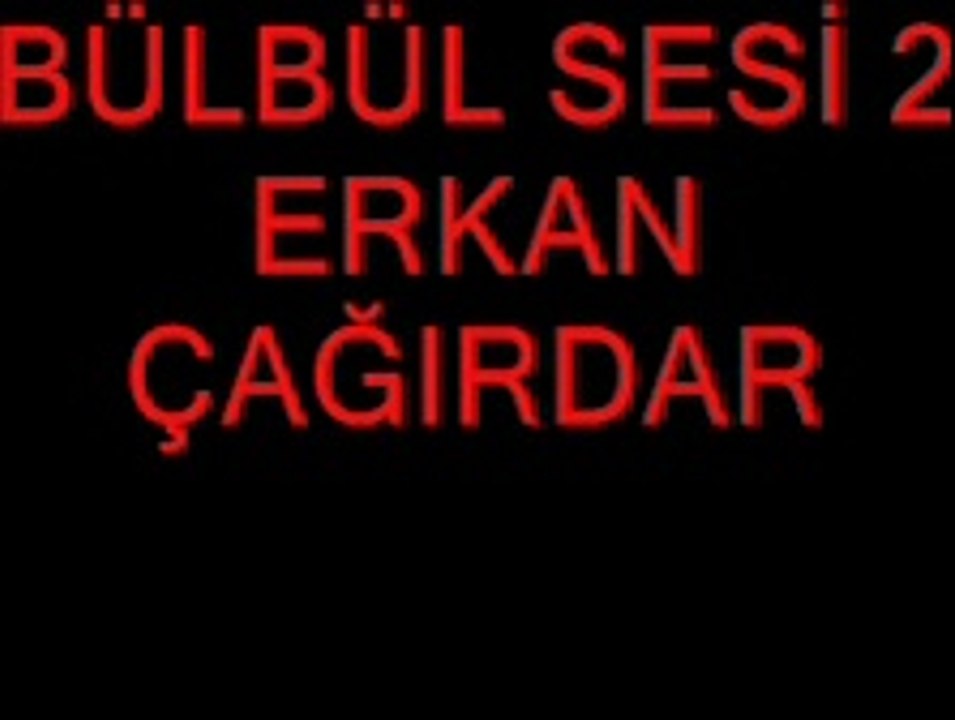 BÜLBÜL SESİ 2