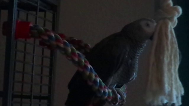 trim.25C12095-2F9F-4580-BCA9-328E7A8135D2