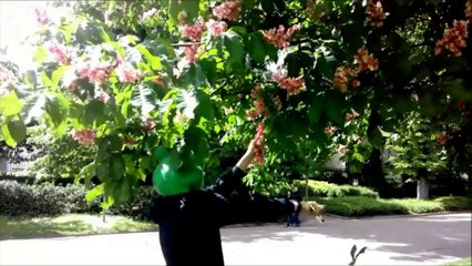 Vidéo-Pcsi1// "Stanislas"