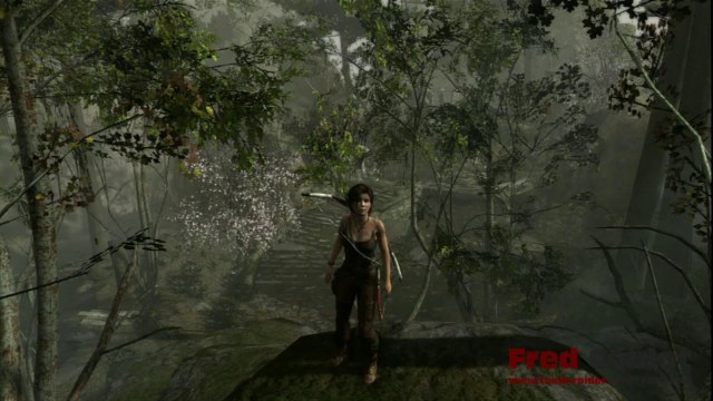 La foret Littorale nord_2.9-Les 2 géocaches_Tomb Raider 2013 une survivante est née