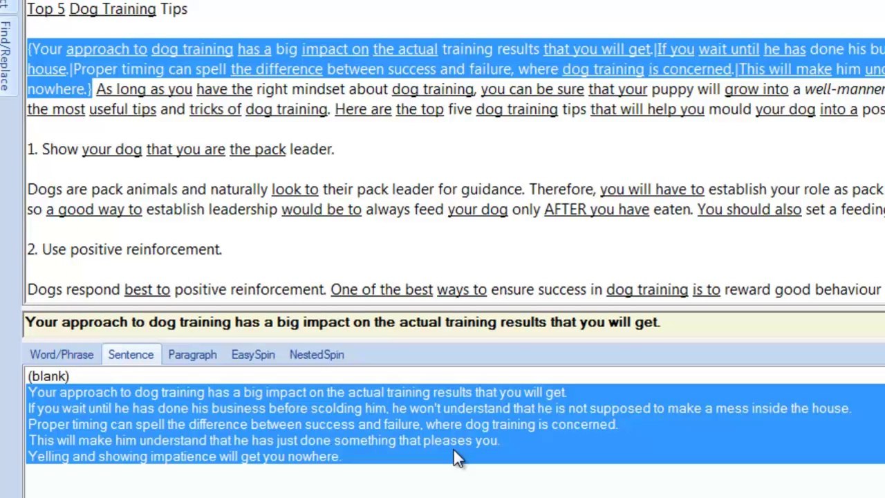 4.Working with the Spinner - Manually Spinning Sentences and Paragraphs-TBS 2-4