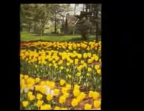 Farid Farjad - Yalnızlık Kutsaldır