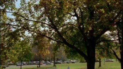 Evolution - Episode 4 of 7 - Evolutionary Arms Race