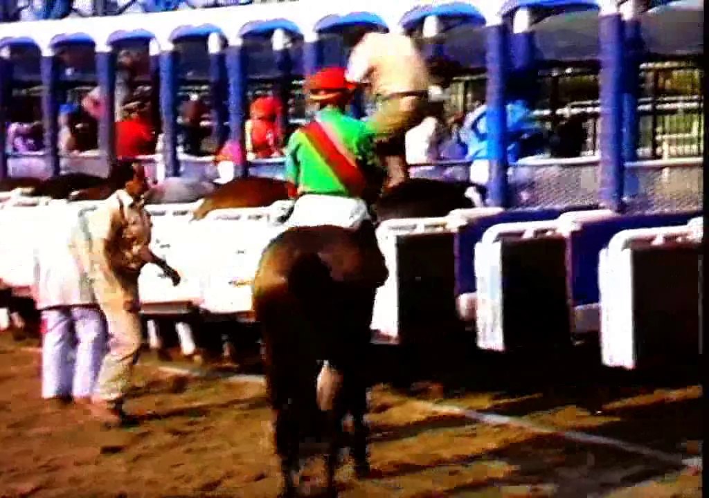 1983 Belmont Stakes