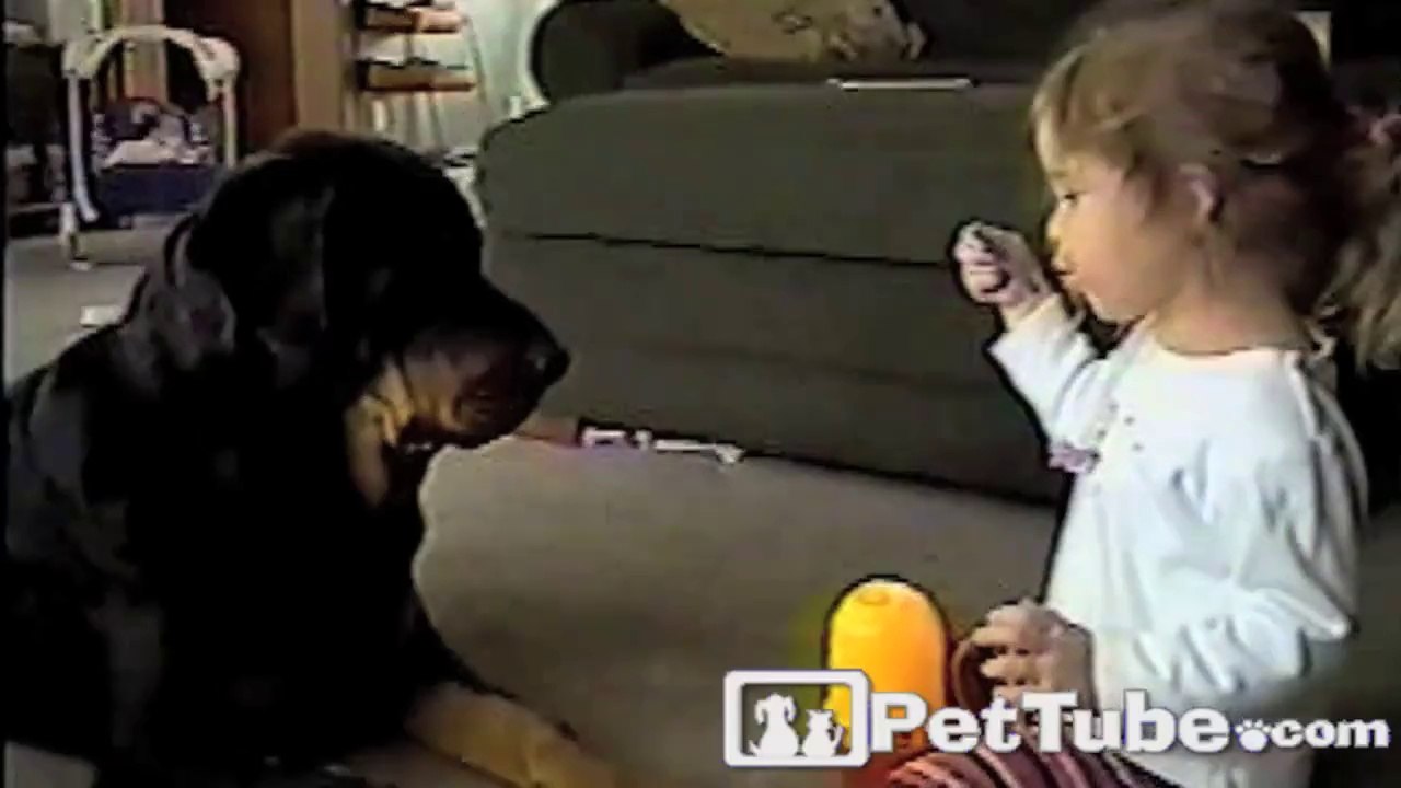 Bubbly Toddler and Her Rotty