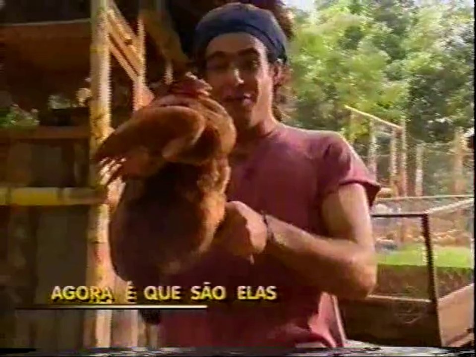 Agora é Que São Elas - Vídeo Show