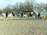 Cheval Passion Chevaux Entrainement