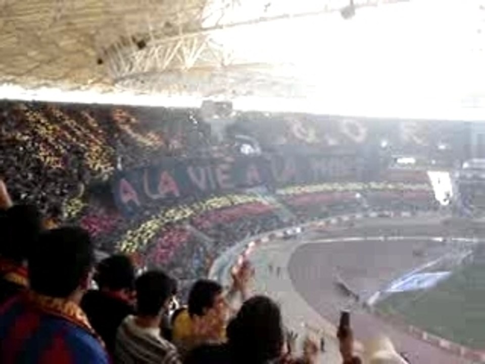 Tifo A la vie A la mort