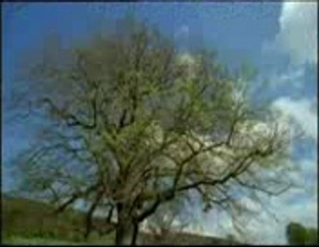 NIZAME HASTI CHALA RAHA HE WAHI KHUDA HE (by zahid rajpoooot 03069100071)