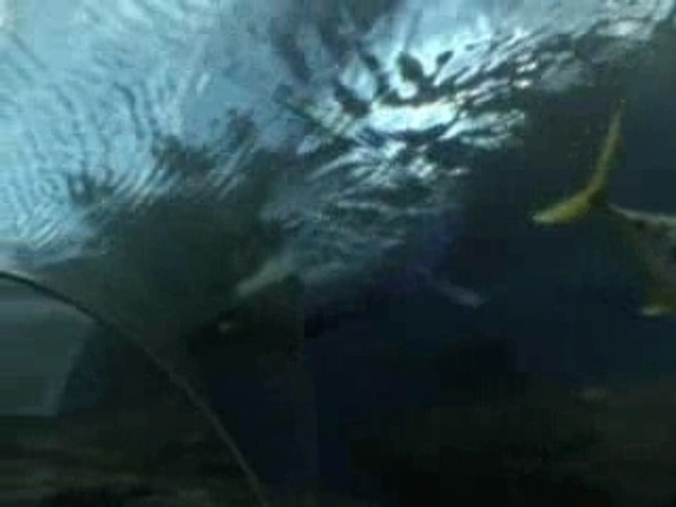 Aquarium de pattaya