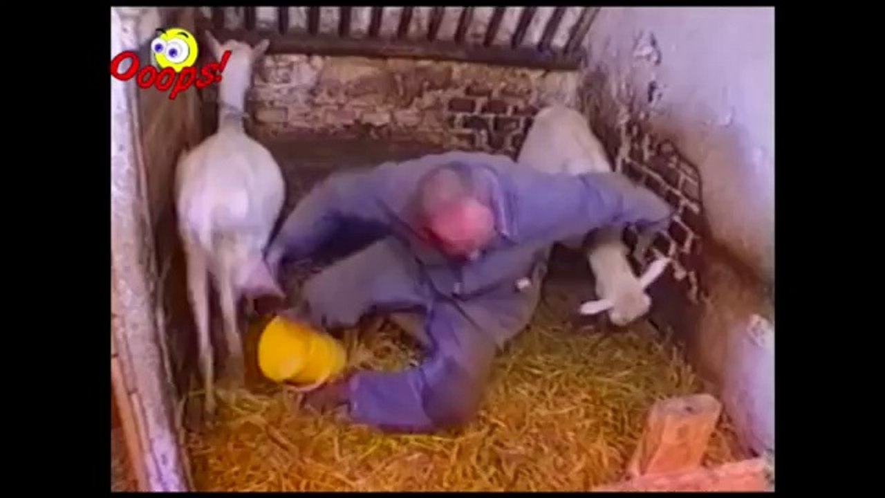 Ultimate Fail - Win Compilations 214