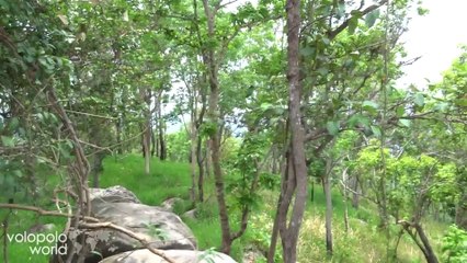 Phu Laen Kha National Park and Viewpoint