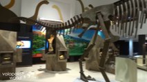 The Dinosaur Museum in Khon Kaen, Phuwiang