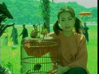 Nỗi Buồn Chim Sáo - Cẩm Ly (DVD Vol 2)
