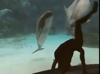 Yunusun dikkatini çeken jimnastikci kız