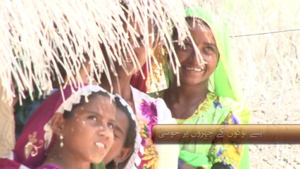 Shifa Foundation Promo
