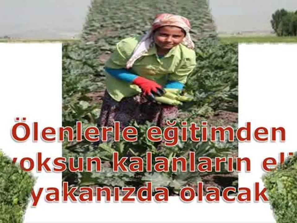 SİVEREKLİLERE KÖTÜ HABER-SİVEREK GAP SULAMASINDA YOK