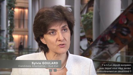 Elections européennes 2014 : Confidences de candidats - Le désaccord