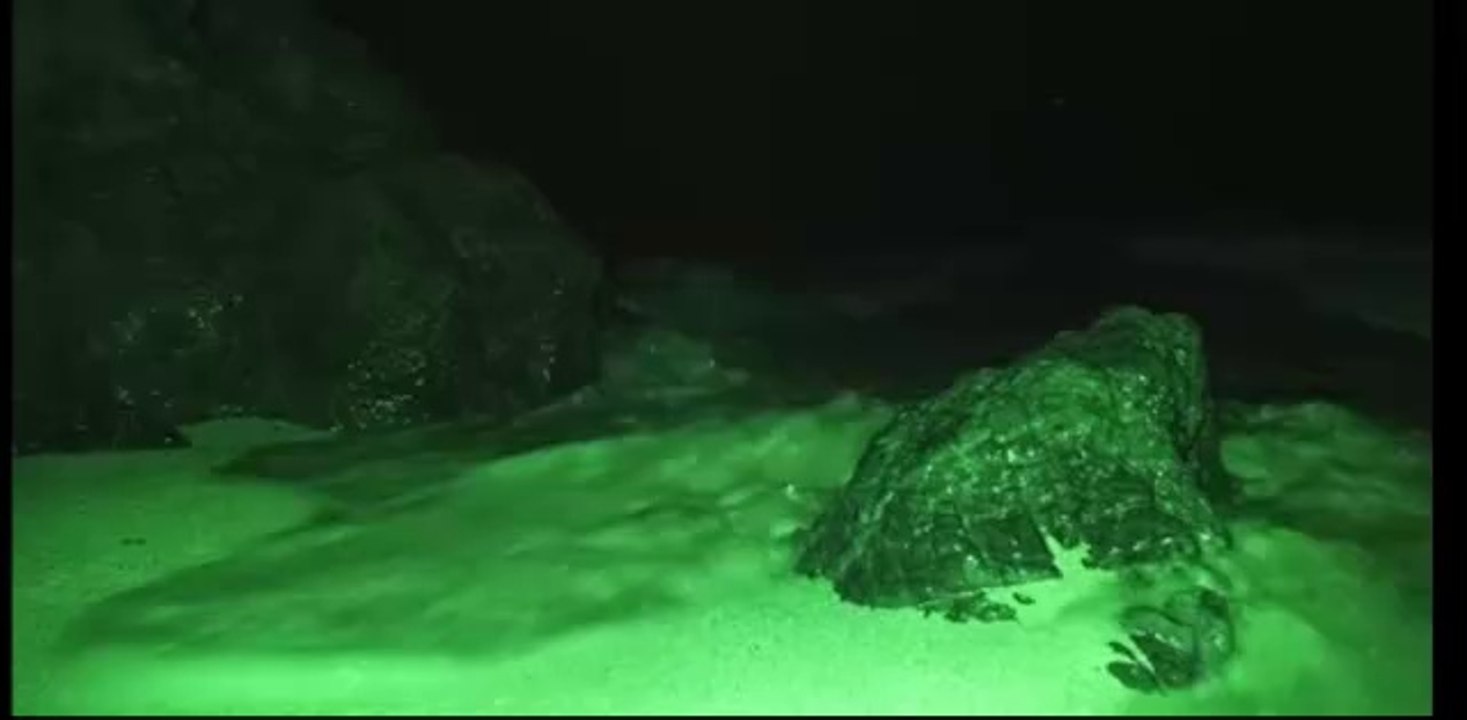 Ahmet dursunun fare ile imtihanı