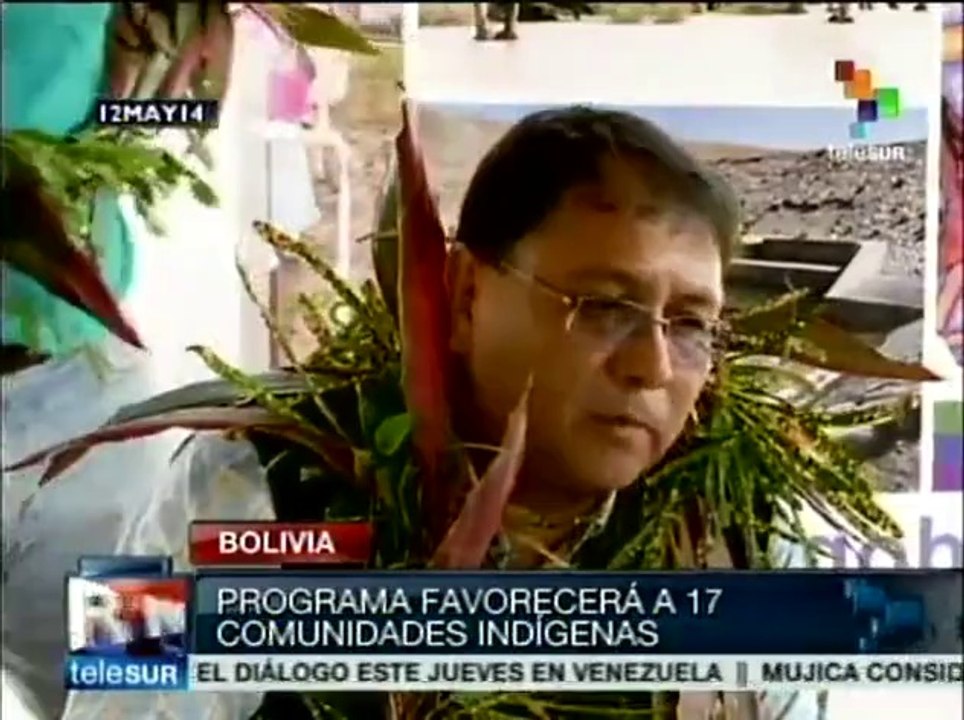 Bolivia lanza programa de reforestación en zonas afectadas