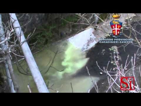 Caserta - Mozzarella, arrestati imprenditori e veterinari per frode -1- (12.05.14)