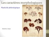 Les algues : du terrain aux collections en passant par la molécule (cycle Herbier national 3/4)