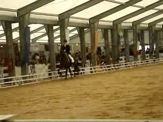 CHEVAL PASSION 2007 032