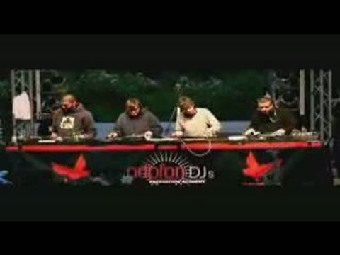 BIRDY NAM NAM - violons -