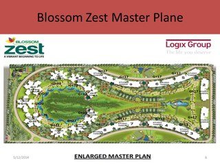 Logix Blossom Zest