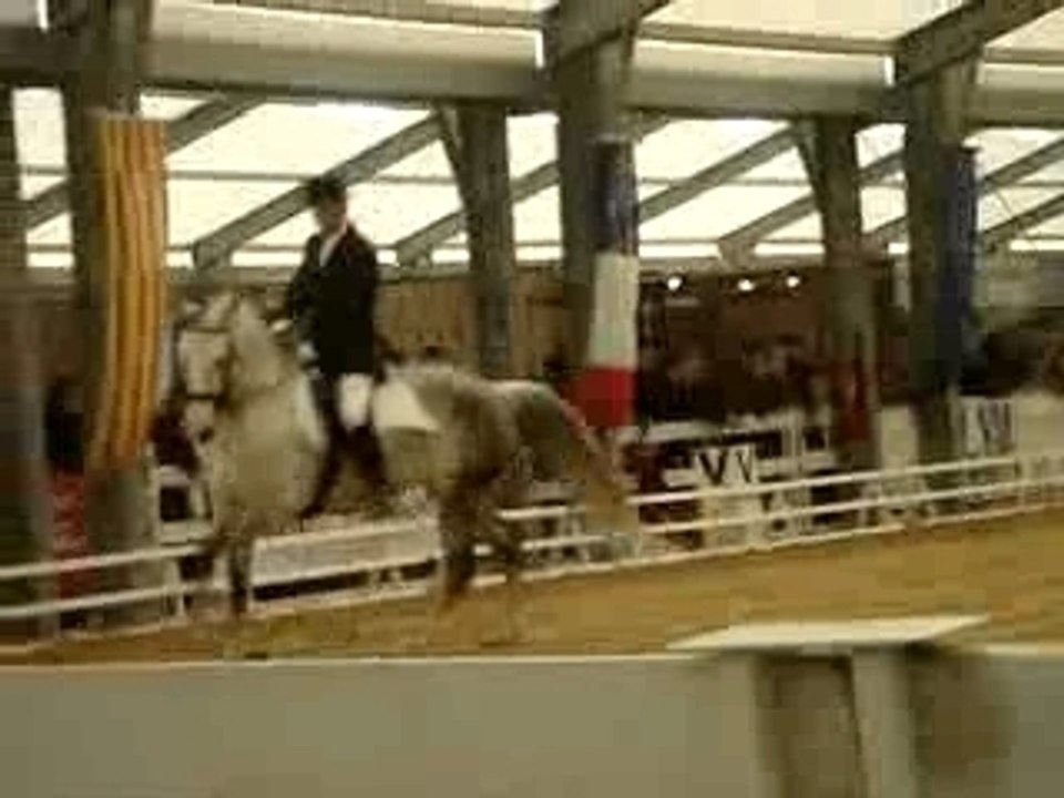 CHEVAL PASSION 2007 031